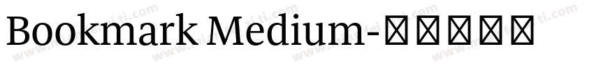 Bookmark Medium字体转换